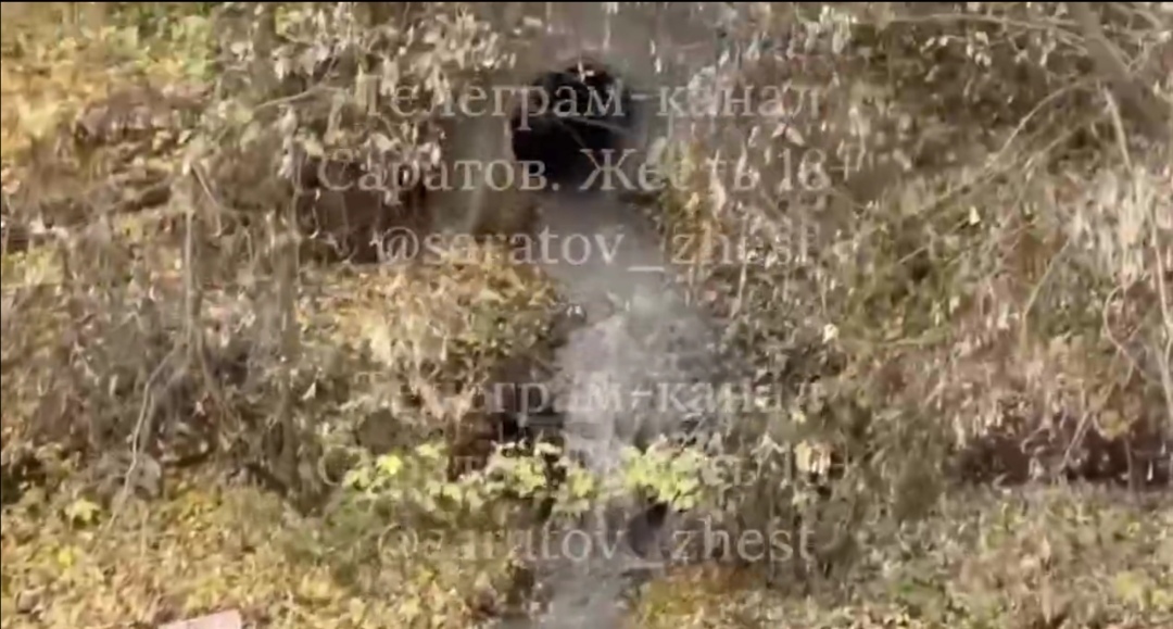 В Петровске обнаружили новый фекальный сброс в реку Медведицу